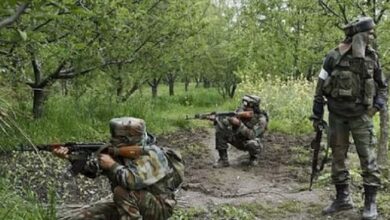 Photo of नक्सलियों का स्नाइपर ढेर: बीजापुर के नेशनल पार्क में हुई मुठभेड़