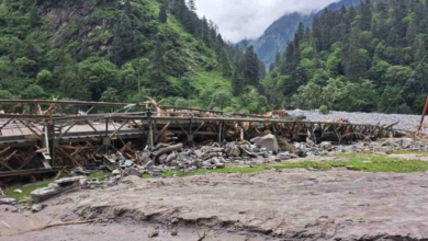 Photo of  पुनर्वास व स्थायी आजीविका के लिए अंनतिम रिपोर्ट तैयार