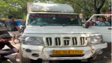Photo of  सुप्रीम कोर्ट के आदेश के खिलाफ सड़कों पर उतरे लोग, लावारिस कुत्ते पकड़ने का विरोध