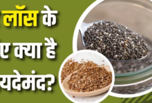Photo of वजन घटाने के लिए क्या है ज्यादा फायदेमंद, चिया सीड्स या फ्लैक्स सीड्स?