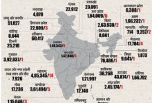 Photo of भारत में आवारा कुत्तों के काटने और रेबीज से जुड़े आंकड़े