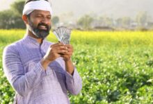 Photo of सितंबर में मालामाल करने वाली फसल, लाखों का होगा मुनाफा