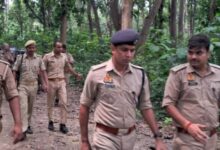 Photo of यूपी:  कुआनो जंगल में लकड़ी काटने गए युवक की हत्या