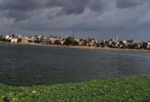 Photo of पांच अक्टूबर तक पूरे बिहार में बारिश-वज्रपात के आसार