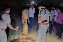 Photo of मैनपुरी में बड़ी वारदात, महिला ग्राम प्रधान के ससुर की गोली मारकर हत्या