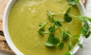 Photo of मोरिंगा के सूप से मिलेंगे 6 कमाल के फायदे