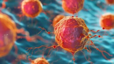 Photo of कैंसर में गेम चेंजर साबित हो सकती है यह दवा