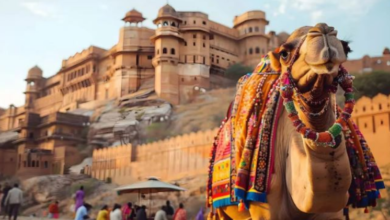 Photo of सर्दियों में घूम आइए राजस्थान, जयपुर से जैसलमेर तक