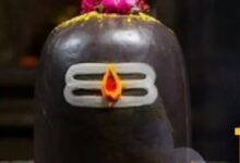 Photo of मोक्षदा एकादशी के दिन शिवलिंग पर चढ़ाएं ये चीजें