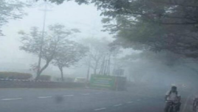 Photo of बिहार में ठंड की दस्तक, नवंबर में कैसा रहेगा मौसम जानें