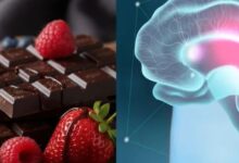 Photo of डार्क चॉकलेट और बेरीज से बढ़ेगी याददाश्त, स्ट्रेस भी होगा कम