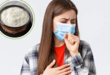 Photo of क्या सर्दी-जुकाम में दही खा सकते हैं? जानें 