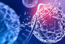 Photo of अब बैक्टीरिया को ‘हैक’ करके होगा कैंसर का इलाज