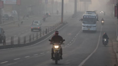 Photo of MP में ठंड के साथ कोहरे की दस्तक, 14 जिलों में अलर्ट