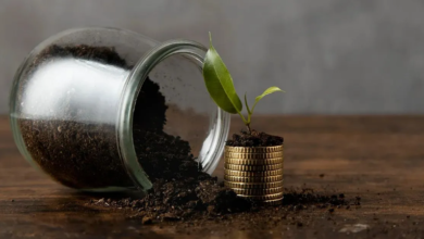 Photo of 20 साल बाद 1 करोड़ रुपए का फंड तैयार करने के लिए कितने रुपए की एसआईपी करनी होगी?