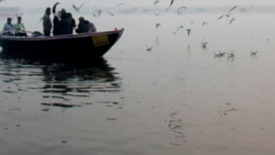 Photo of पूरा प्रदेश में ठंड और कोहरे की चपेट में, इन 20 जिलों के लिए जारी हुआ रेड अलर्ट