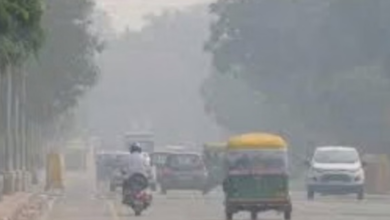 Photo of  मध्यप्रदेश में कोहरे का कहर, ठंड ने तोड़े रिकॉर्ड, सीजन में पहली बार 3 डिग्री से नीचे पारा