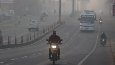 Photo of  बर्फीली हवाओं की चपेट में मध्यप्रदेश, कोहरे से जनजीवन बेहाल, पारा 4 डिग्री से नीचे लुढ़का