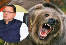 Photo of देवभूमि में भालू का आतंक !