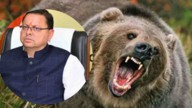 Photo of देवभूमि में भालू का आतंक !