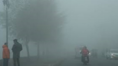 Photo of आज घने कोहरे का ऑरेंज अलर्ट, 30 और 31 दिसंबर को बारिश के आसार