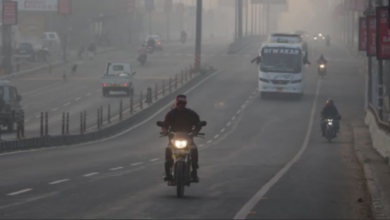 Photo of हिमालय की बर्फबारी का असर, मध्यप्रदेश में कड़ाके की ठंड