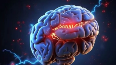 Photo of बोरिंग काम भी लगने लगता है मजेदार और मिलती है अच्छी नींद…