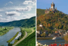 Photo of रोमन इतिहास से लेकर वर्ल्ड क्लास वाइन तक, जानिए मोसेल वैली की खासियत