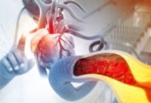 Photo of सीने में हल्के दर्द के साथ दिख रहे हैं ये चार लक्षण