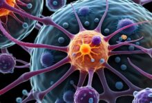 Photo of सिर्फ बुजुर्ग नहीं, अब युवाओं को भी शिकार बना रहा है कैंसर