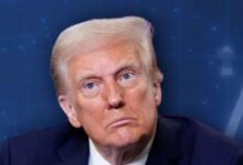 Photo of ट्रंप टैरिफ के बाद भी विकास पर नहीं होगा कोई असर