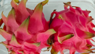 Photo of उत्तराखंड: ड्रैगन फ्रूट पर 80 प्रतिशत सब्सिडी दे रही सरकार