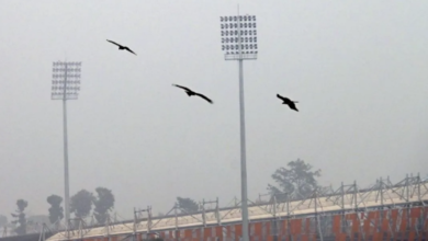 Photo of ठिठुरन के साथ साल की विदाई, गलन ने किया परेशान