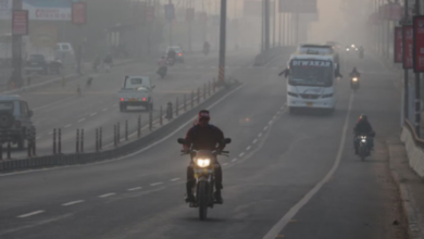 Photo of एमपी में ठंड का डबल अटैक, नवंबर-दिसंबर ने तोड़े रिकॉर्ड