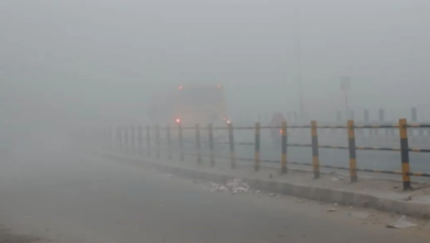 Photo of उत्तराखंड जूझ रहा सूखी ठंड से, मैदानी क्षेत्रों में घने कोहरे को लेकर यलो अलर्ट