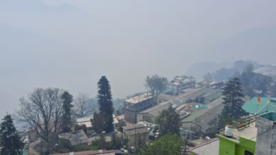 Photo of उत्तराखंड: पहाड़ों में पाला तो मैदान में शीतलहर बढ़ा रही ठंड, दून में साढ़े आठ बजे के बाद ही खुलेंगे स्कूल