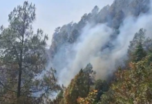 Photo of पांच दिन से धधक रहे फूलों की घाटी के जंगल, अब आसमानी मदद पर टिकी आस, हेलिकॉप्टर से देखे हालात