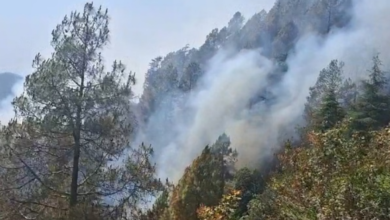 Photo of पांच दिन से धधक रहे फूलों की घाटी के जंगल, अब आसमानी मदद पर टिकी आस, हेलिकॉप्टर से देखे हालात