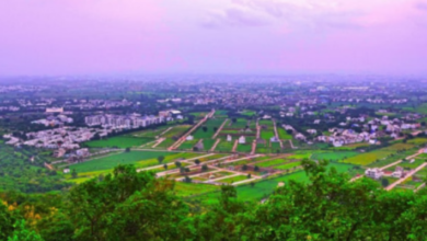 Photo of इंदौर बना cका मुख्य केंद्र, 2 साल में शुरू हुए 44000 उद्यम