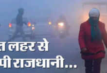Photo of कोहरे की चादर से ढका पूरा प्रदेश, दृश्यता शून्य…गलन से जीवन बेहाल