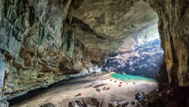 Photo of वियतनाम की Son Doong गुफाएं, जिसमें समा सकती हैं 40 मंजिला बिल्डिंग