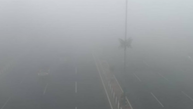Photo of राजधानी समेत अवध क्षेत्र में सुबह-सुबह कोहरे की बारिश