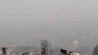 Photo of कोहरे और शीतलहर ने बढ़ाई ठिठुरन, सूखी ठंड कर रही परेशान, आज भी येलो अलर्ट