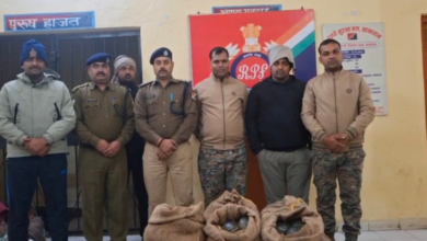 Photo of सासाराम स्टेशन पर आरपीएफ की बड़ी कार्रवाई, कालका मेल से 311 जिंदा कछुए बरामद