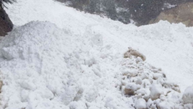 Photo of राज्य के ऊंचाई वाले क्षेत्रों में हिमस्खलन की आशंका, विभागों को अलर्ट मोड में रहने के निर्देश