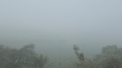 Photo of बिहार के इन जिलों घने कोहरे का अलर्ट, 24 घंटे में तीन डिग्री तक गिरेगा पारा