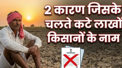 Photo of 22वीं किस्त के इंतजार के बीच लाखों किसानों के नाम कटे, कारण चल गया पता