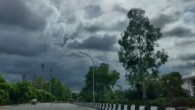 Photo of  मार्च की शुरुआत में ही झुलसाने लगी गर्मी, पारा 39 डिग्री,सामान्य से 4.6 डिग्री ज्यादा तापमान