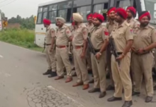 Photo of एनडीपीएस मामलों में बढ़ी सजा दर: पंजाब में जेल पहुंचे 89 प्रतिशत तस्कर