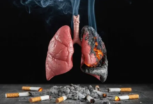 Photo of सिर्फ फेफड़े ही नहीं, शरीर के इन अंगों को भी खोखला करता है सिगरेट का धुआं